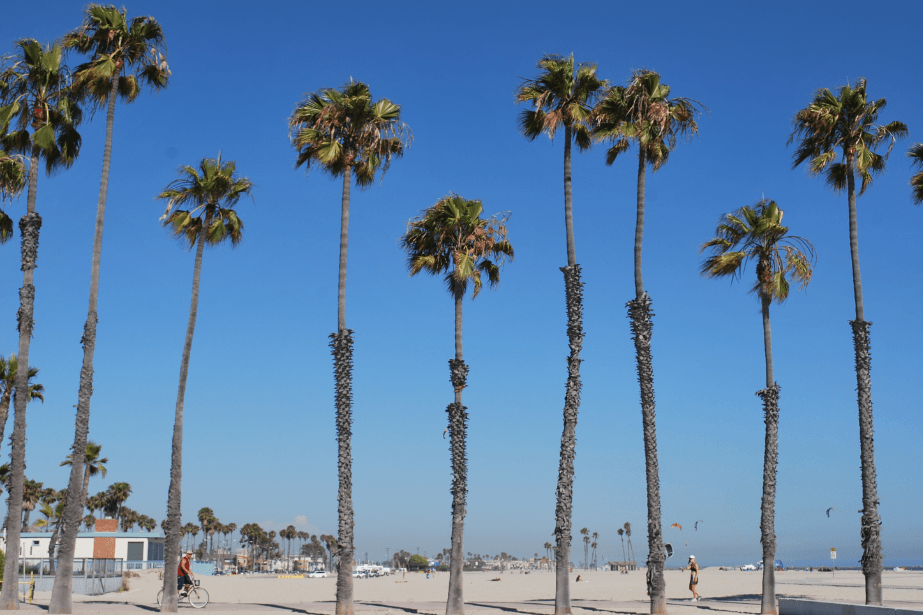Long Beach Real Estate Investing | Mashvisor