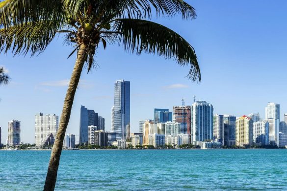 Get Access to the MLS Database Without a License Mashvisor