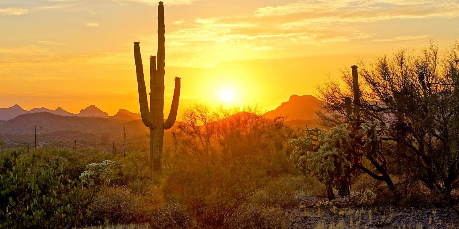 Arizona real estate market