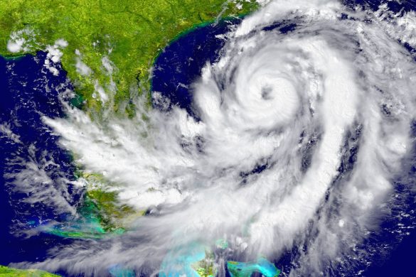 The Impact of Hurricane Michael on the Florida Real Estate Market