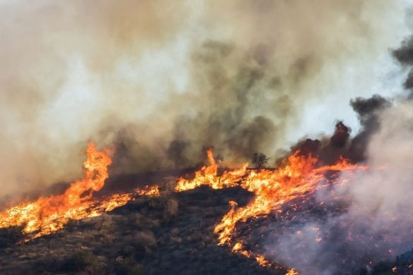 California Wildfires Exacerbate Housing Crisis