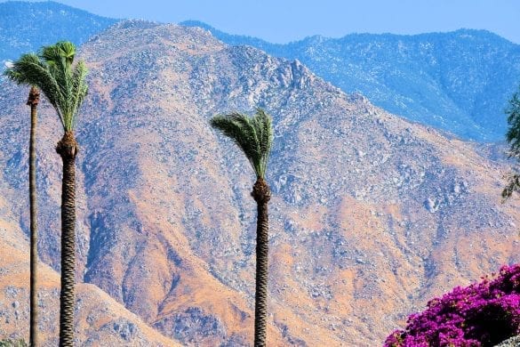 Palm Springs Real Estate Market Forecast 2020