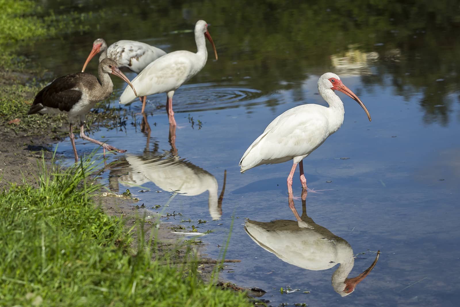 Buying a Vacation Home in Florida 2021 Places Mashvisor