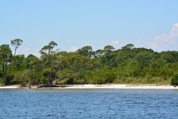 Airbnb Santa Rosa Beach FL: Should You Invest?