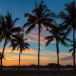 Flipping Houses in Florida: The Complete 2022 Guide