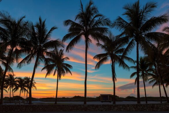 Flipping Houses in Florida: The Complete 2022 Guide