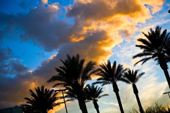 Airbnb Orlando: Is It Worth Investing In?