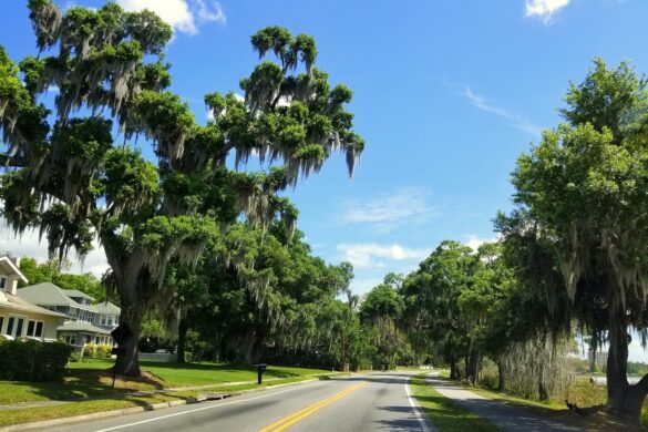 Airbnb Winter Haven FL: Should You Invest in 2022?
