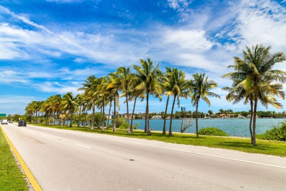Should You Invest in Land for Sale in Florida?
