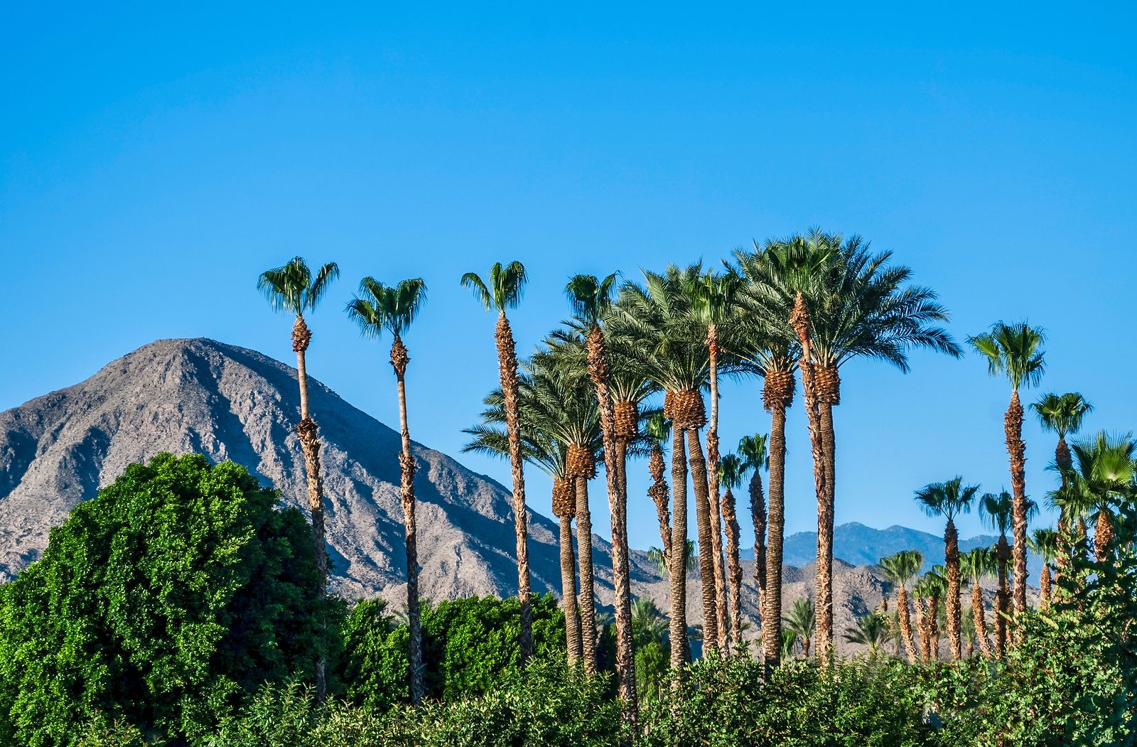 Palm Springs Real Estate Market 2018